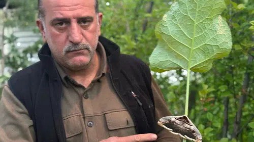 Erzurum Oltu’da alışılmadık misafir