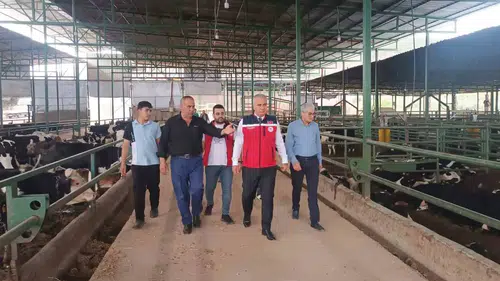 Hatay’da kurbanlık pazarları bayram öncesi mercek altında