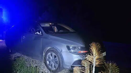 Bilecik yolunda otomobile geyik çarptı İki kişi hastaneye kaldırıldı
