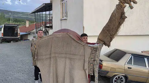 Manisa’da asırlık Kukla Deve geleneği ile dayanışma rüzgarı esiyor