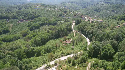Zonguldak ormanlarında bahar coşkusu havadan görüntülendi