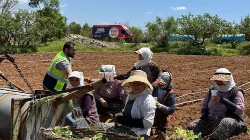 Denizli Belediyesi tarlada çalışan işçilere soğuk içecek dağıtıyor