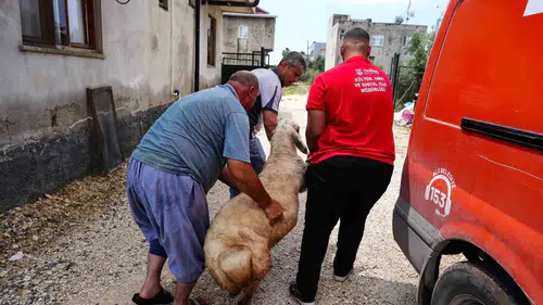 Tarsus Belediyesi şehit ailelerinin bayram sofrasına ortak oldu