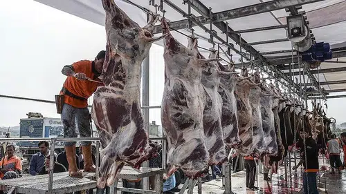 Uzunköprü Belediyesi kurban kesimi için sertifikalı eleman yetiştiriyor