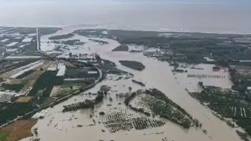 Hatay'da Asi Nehri taştı ev ve iş yerleri sular altında kaldı