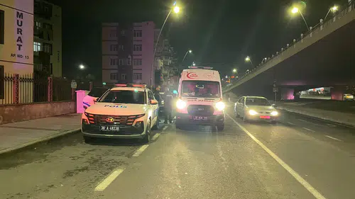 Kayseri'de kuzenler arasındaki ot kavgası kanlı bitti