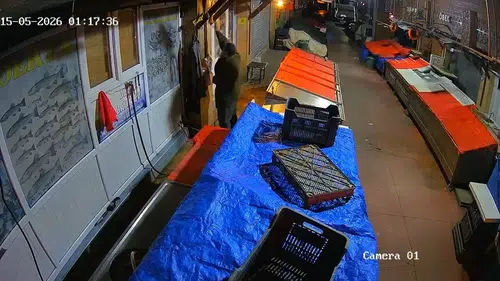Elazığ’da gece yarısı balıkçı dükkanını böyle soydu