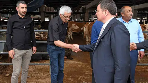 Osmangazi’de kurban pazarları bayrama hazır hale getirildi