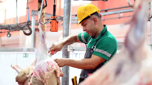 Mersin'de kurban kesimleri belediye tesislerinde profesyonelce tamamlandı