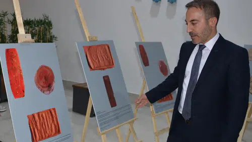 Binlerce yıllık mühürler dev boyutta gün yüzüne çıktı