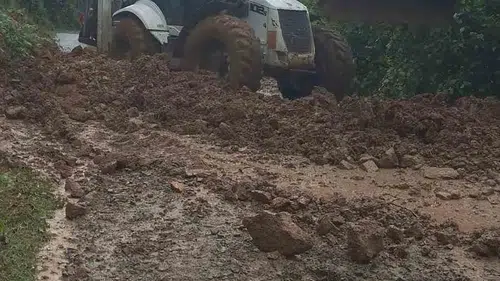 Artvin Borçka’da sağanak dereleri taşırdı