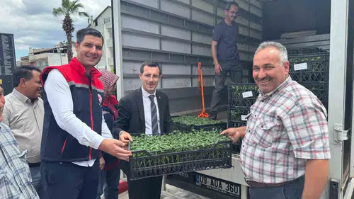 Bozdoğanlı çiftçiye 14 bin fide desteği