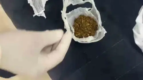 Sakarya'da uyuşturucu operasyonu 6 kişi cezaevine gönderildi