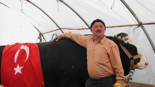 Kayseri pazarının devi Paşa 420 bin liraya alıcısını buldu