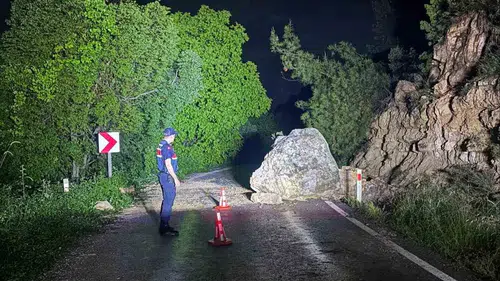 Bilecik'te kaya düşmesiyle kapanan köy yolu temizlendi