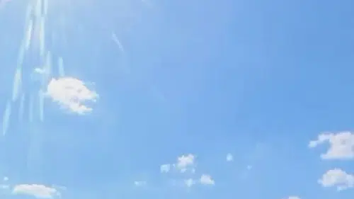 Avcılar sahilinde zabıta müdahalesi kanlı bitti