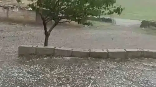 Şanlıurfa Siverek’te dolu yağışı ekili alanları vurdu