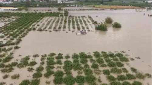 Hatay'da sel felaketi bir can aldı