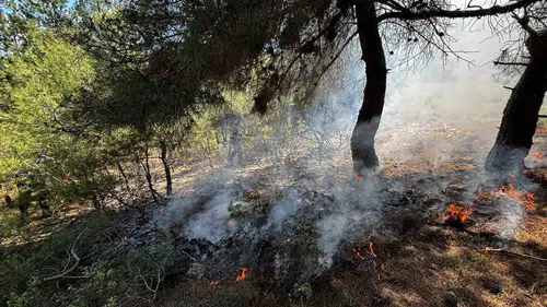 Bilecik ormanlarında çöpler yangına davetiye çıkardı