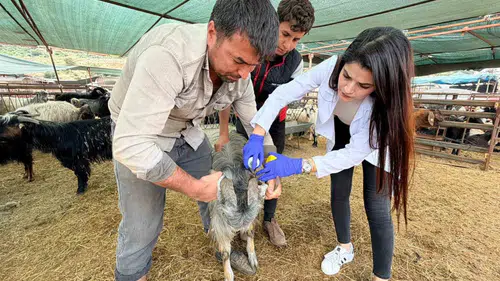 Kepez’de bayram hazırlığı başladı Kurban alanları denetim altında
