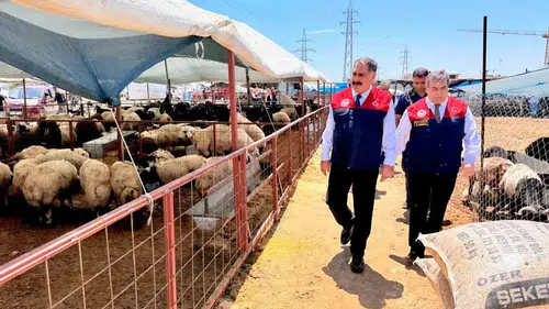 Mersin'de kurban pazarları bayram öncesi mercek altına alındı