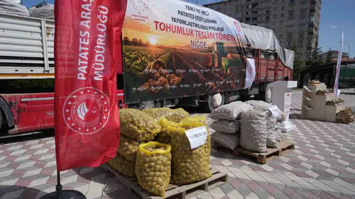 Niğde çiftçisine 60 ton yerli patates tohumu desteği
