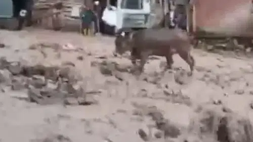 Şebinkarahisar sel sularıyla mücadele ediyor