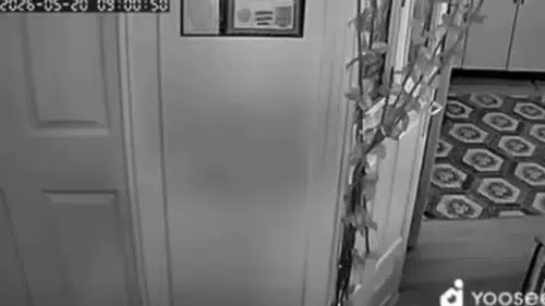 Malatya merkezli sarsıntı bölgeyi ayağa kaldırdı