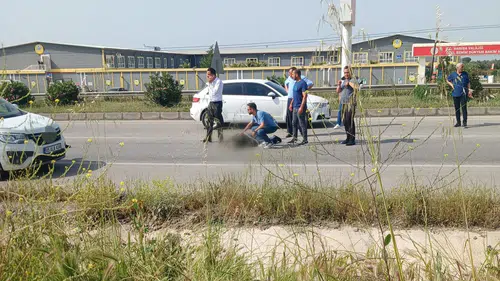 Salihli’de yolcu otobüsü yayaya çarptı