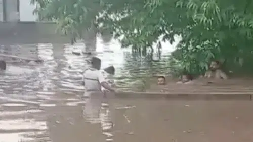 Osmaniye ve Hatay'da sağanak hayatı felç etti