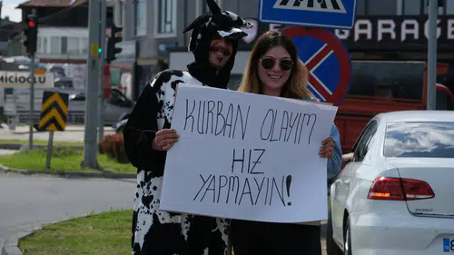 Düzce yollarında inek kostümlü hız uyarısı