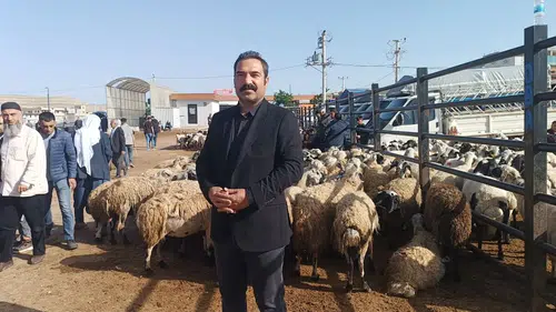 Şanlıurfa kurban pazarında fiyat pazarlığı kızışıyor
