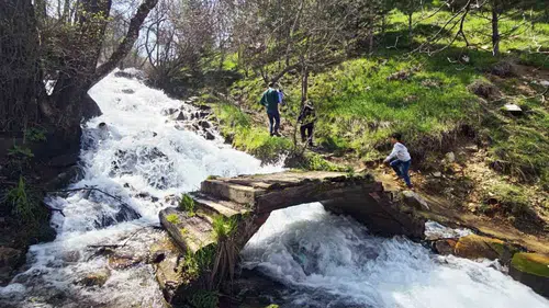 Bitlis’te karlar eridi Beyazsu Şelalesi coştu