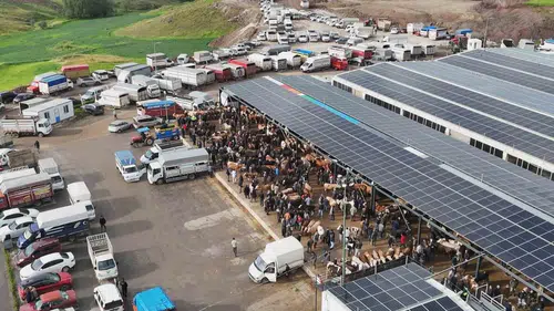 Ankara kurban pazarında bayram mesaisi başladı