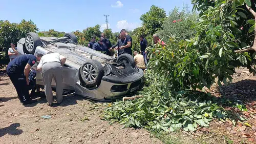 Manavgat'ta virajı alamayan otomobil avokado bahçesine devrildi