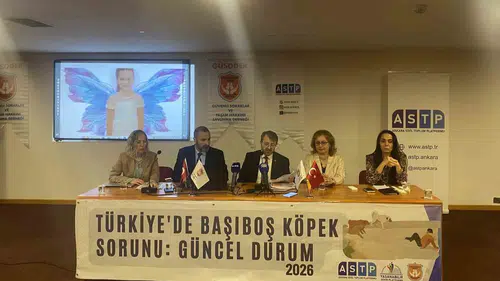 Başıboş köpek saldırısı mağdurları Ankara'da çözüm aradı