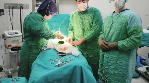 Bayburt Devlet Hastanesi’nde 27 taşlık operasyon