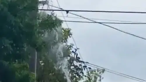 Aksaray'da elektrik direğinde can pazarı