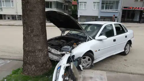 Kastamonu'da sürücü direksiyon hakimiyetini kaybetti ve ağaca çarptı