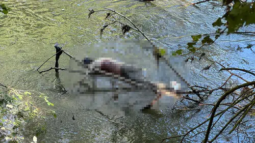 Edirne Sarayiçi bölgesinde Tunca Nehri kıyısında cansız beden bulundu