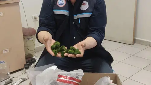 Kapıkulede otobüste 2 bin adet canlı yeşil alg yakalandı