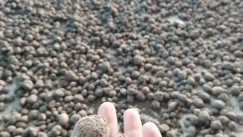 Bozdoğan’da salep mesaisi denetimle başladı
