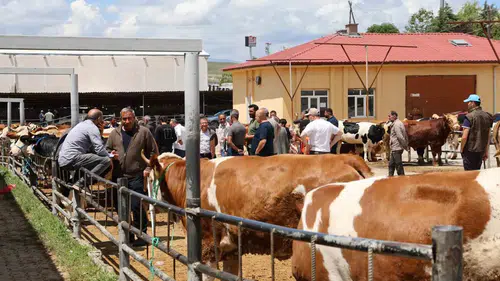 Elazığ’da kurbanlık pazarlarında arife günü hareketliliği yaşanıyor