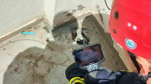 Eskişehirde su borusuna sıkışan üç yavru kedi kurtarıldı