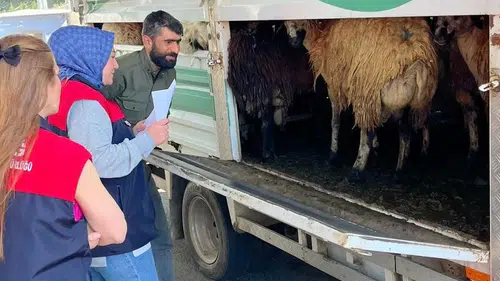 Elazığ yollarında kurbanlık sevkiyatına sıkı denetim
