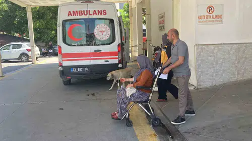 Mersin'de doğadan toplanan mantarlar 7 kişiyi hastanelik etti