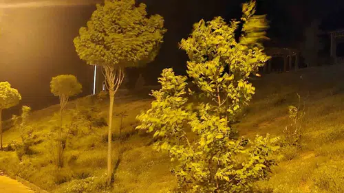 Elazığ’da geceyi savuran şiddetli fırtına yaşamı aksattı