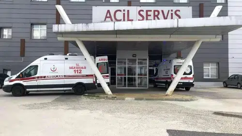 Tekirdağ'da arı saldırısı yaşlı çifti hastaneye düşürdü