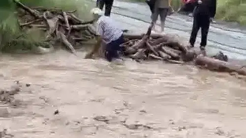Hatay'da taşkın sularına aldırış etmedi odun toplamak için dereye daldı