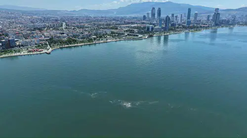İzmir Körfezi kirlilikle boğuşuyor